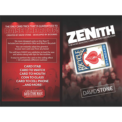 Zenith (online instructions) by David Stone